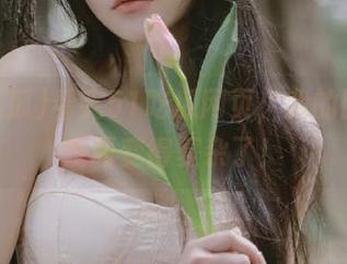 看完51吃瓜网页，我的回家路反而变得复杂了！