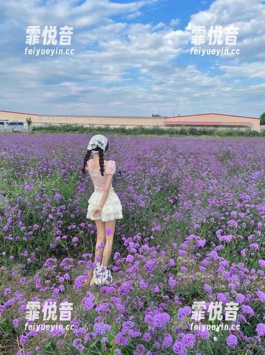 51每日吃瓜 “51每日吃瓜”剁手党必备!快点观看这些大瓜下载吧