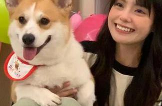 敬请期待！拔哥黑料教你如何永不迷路于八卦中