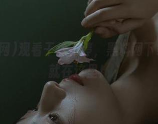 观看干货不停，黑料网下载教程就在这里！